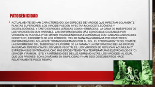 PATOGENICIDAD
• ACTUALMENTE SE HAN CARACTERIZADO 300 ESPECIES DE VIROIDE QUE INFECTAN SOLAMENTE
PLANTAS SUPERIORES. LOS VIROIDE PUEDEN INFECTAR MONOCOTILEDÓNEAS Y
DICOTILEDÓNEAS, Y TANTO ESPECIES LEÑOSAS COMO HERBÁCEAS. LA GAMA DE HUÉSPEDES DE
LOS VIROIDES ES MUY VARIABLE. LAS ENFERMEDADES MÁS CONOCIDAS CAUSADAS POR
VIROIDES EN PLANTAS (Y DE MAYOR TRANSCENDENCIA ECONÓMICA) SON: CADANG-CADANG DEL
COCOTERO; EXOCORTIS DE LOS CÍTRICOS; PIEL DE MANZANA MARCADA POR CICATRICES;
ENFERMEDAD DEL AGUACATE TOSTADO/QUEMADO POR EL SOL, EL ATROFIAMIENTO DEL TOMATE,
LA ENFERMEDAD DEL TUBÉRCULO FILIFORME DE LA PATATA Y LA ENFERMEDAD DE LAS PATATAS
AHUSADAS DIFERENCIA DE LOS VIRUS VEGETALES, LOS VIROIDES SE REPLICAN, ACUMULAN Y
EXPRESAN SUS SÍNTOMAS MUCHO MÁS EFICIENTEMENTE A TEMPERATURAS ELEVADAS (30-33 °C)
(SÄNGER Y RAMON, 1975) Y A INTENSIDADES DE LUZ ASIMISMO ALTAS. LOS VIROIDES -AL IGUAL
QUE LOS PRIONES- SON LO MÁXIMO EN SIMPLICIDAD Y HAN SIDO DESCUBIERTOS HACE
RELATIVAMENTE POCO TIEMPO.
 