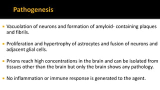  Vacuolation of neurons and formation of amyloid- containing plaques
and fibrils.
 Proliferation and hypertrophy of astrocytes and fusion of neurons and
adjacent glial cells.
 Prions reach high concentrations in the brain and can be isolated from
tissues other than the brain but only the brain shows any pathology.
 No inflammation or immune response is generated to the agent.
 