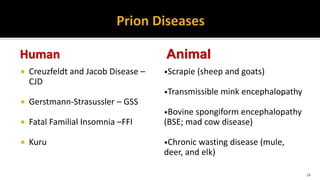Human
 Creuzfeldt and Jacob Disease –
CJD
 Gerstmann-Strasussler – GSS
 Fatal Familial Insomnia –FFI
 Kuru
Animal
•Scrapie (sheep and goats)
•Transmissible mink encephalopathy
•Bovine spongiform encephalopathy
(BSE; mad cow disease)
•Chronic wasting disease (mule,
deer, and elk)
18
 