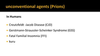 In Humans
 Creutzfeldt -Jacob Disease (CJD)
 Gerstmann-Straussler-Scheinker Syndrome (GSS)
 Fatal Familial Insomnia (FFI)
 kuru
 