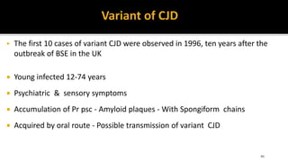  The first 10 cases of variant CJD were observed in 1996, ten years after the
outbreak of BSE in the UK
 Young infected 12-74 years
 Psychiatric & sensory symptoms
 Accumulation of Pr psc - Amyloid plaques - With Spongiform chains
 Acquired by oral route - Possible transmission of variant CJD
40
 