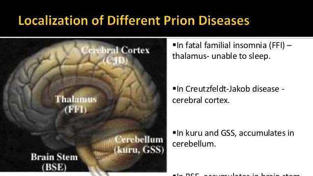 Prion diseases