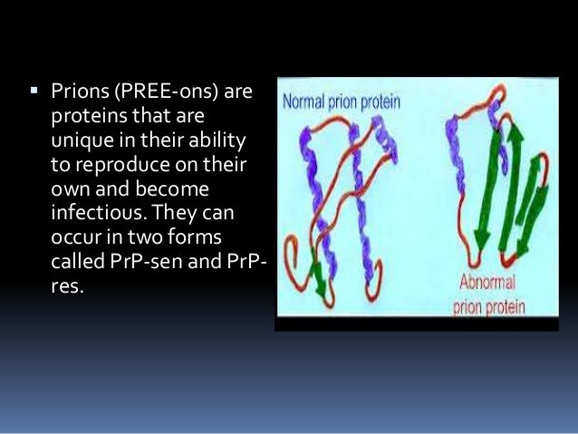 An Introduction of Prion protein