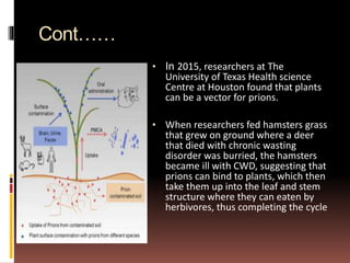 Prion proteins | PPTX