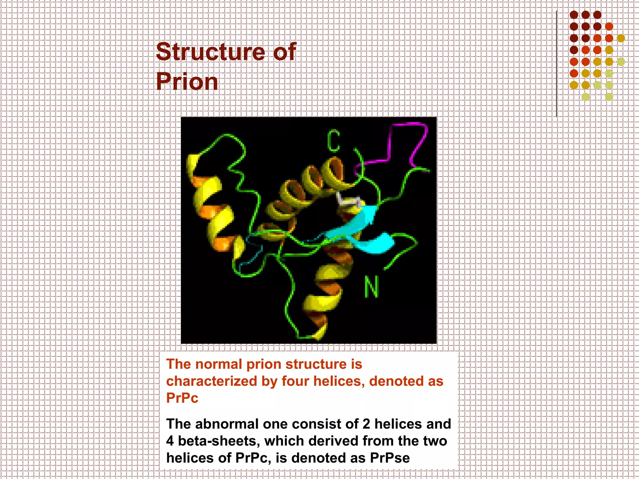 Prions and Diseases | PPT