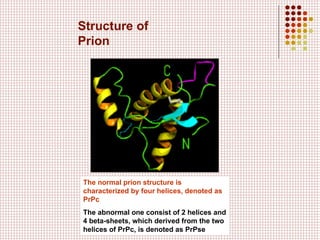 Structure of Prion The normal prion structure is characterized by four helices, denoted as PrPc The abnormal one consist of 2 helices and 4 beta-sheets, which derived from the two helices of PrPc, is denoted as PrPse 