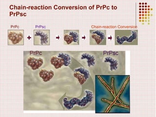 Prpc Overview Prions and Diseases | PPT