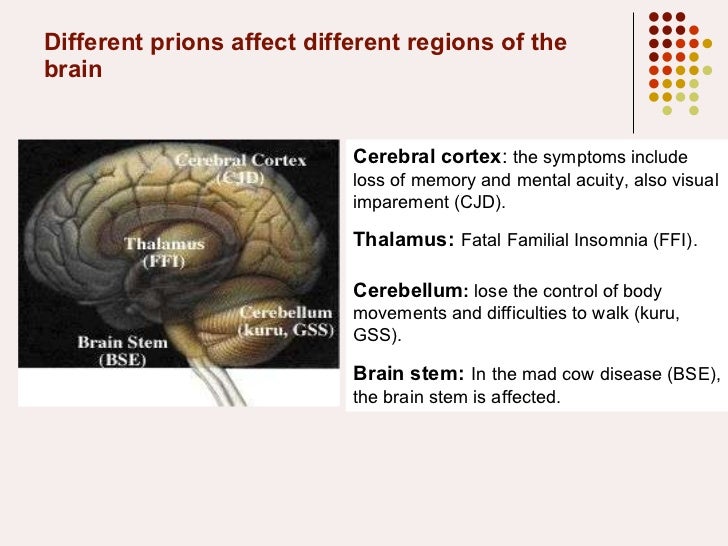 Prions and Diseases