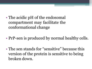 • The acidic pH of the endosomal
compartment may facilitate the
conformational change
• PrP-sen is produced by normal healthy cells.
• The sen stands for “sensitive” because this
version of the protein is sensitive to being
broken down.
 