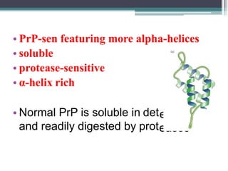 • PrP-sen featuring more alpha-helices
• soluble
• protease-sensitive
• α-helix rich
• Normal PrP is soluble in det
and readily digested by prot
ergents
eases
 