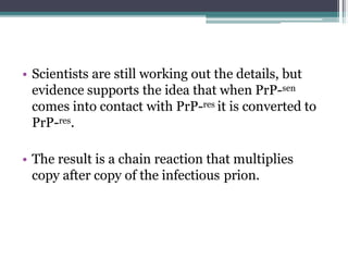 • Scientists are still working out the details, but
evidence supports the idea that when PrP-sen
comes into contact with PrP-res it is converted to
PrP-res.
• The result is a chain reaction that multiplies
copy after copy of the infectious prion.
 