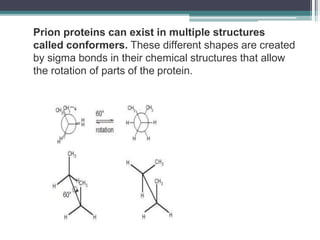 Prion proteins can exist in multiple structures
called conformers. These different shapes are created
by sigma bonds in their chemical structures that allow
the rotation of parts of the protein.
 