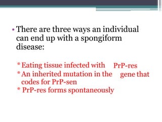 • There are three ways an individual
can end up with a spongiform
disease:
PrP-res
gene that
*Eating tissue infected with
*An inherited mutation in the
codes for PrP-sen
* PrP-res forms spontaneously
 