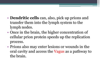 • Dendritic cells can, also, pick up prions and
transfer them into the lymph system to the
lymph nodes.
• Once in the brain, the higher concentration of
cellular prion protein speeds up the replication
process.
• Prions also may enter lesions or wounds in the
oral cavity and access the Vagus as a pathway to
the brain.
 
