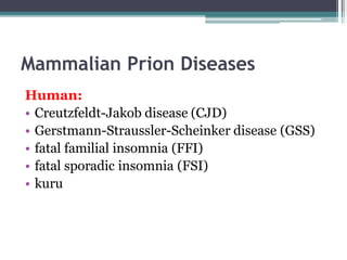 Mammalian Prion Diseases
Human:
• Creutzfeldt-Jakob disease (CJD)
• Gerstmann-Straussler-Scheinker disease (GSS)
• fatal familial insomnia (FFI)
• fatal sporadic insomnia (FSI)
• kuru
 