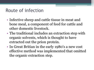 Route of infection
• Infective sheep and cattle tissue in meat and
bone meal, a component of feed for cattle and
other domestic livestock.
• The traditional includes an extraction step with
organic solvents, which is thought to have
extracted out the prion protein.
• In Great Britian in the early 1980's a new cost
effective method was implemented that omitted
the organic extraction step.
 