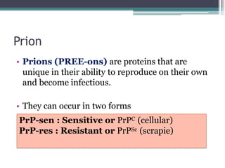 Prion
• Prions (PREE-ons) are proteins that are
unique in their ability to reproduce on their own
and become infectious.
• They can occur in two forms
PrP-sen : Sensitive or PrPC (cellular)
PrP-res : Resistant or PrPSc (scrapie)
 