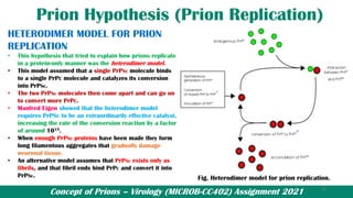Concept of Prions – Virology (MICROB-CC402) Assignment 2021
Prion Hypothesis (Prion Replication)
HETERODIMER MODEL FOR PRION
REPLICATION
• This hypothesis that tried to explain how prions replicate
in a protein-only manner was the heterodimer model.
• This model assumed that a single PrPSc molecule binds
to a single PrPC molecule and catalyzes its conversion
into PrPSc.
• The two PrPSc molecules then come apart and can go on
to convert more PrPC.
• Manfred Eigen showed that the heterodimer model
requires PrPSc to be an extraordinarily effective catalyst,
increasing the rate of the conversion reaction by a factor
of around 1015.
• When enough PrPSc proteins have been made they form
long filamentous aggregates that gradually damage
neuronal tissue.
• An alternative model assumes that PrPSc exists only as
fibrils, and that fibril ends bind PrPC and convert it into
PrPSc. Fig. Heterodimer model for prion replication.
10
 