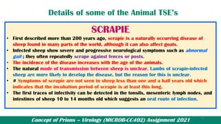 Concept of Prions – Virology (MICROB-CC402) Assignment 2021
Details of some of the Animal TSE’s
SCRAPIE
• First described more than 200 years ago, scrapie is a naturally occurring disease of
sheep found in many parts of the world, although it can also affect goats.
• Infected sheep show severe and progressive neurological symptoms such as abnormal
gait ; they often repeatedly scrape against fences or posts.
• The incidence of the disease increases with the age of the animals.
• The natural mode of transmission between sheep is unclear. Lambs of scrapie-infected
sheep are more likely to develop the disease, but the reason for this is unclear.
• # Symptoms of scrapie are not seen in sheep less than one and a half years old which
indicates that the incubation period of scrapie is at least this long.
• The first traces of infectivity can be detected in the tonsils, mesenteric lymph nodes, and
intestines of sheep 10 to 14 months old which suggests an oral route of infection.
17
 