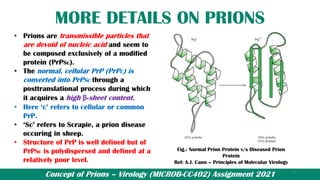 Concept of Prions – Virology (MICROB-CC402) Assignment 2021
MORE DETAILS ON PRIONS
• Prions are transmissible particles that
are devoid of nucleic acid and seem to
be composed exclusively of a modified
protein (PrPSc).
• The normal, cellular PrP (PrPC) is
converted into PrPSc through a
posttranslational process during which
it acquires a high β-sheet content.
• Here ‘c’ refers to cellular or common
PrP.
• ‘Sc’ refers to Scrapie, a prion disease
occuring in sheep.
• Structure of PrP is well defined but of
PrPSc is polydispersed and defined at a
relatively poor level.
Fig.: Normal Prion Protein v/s Diseased Prion
Protein
Ref: A.J. Cann – Principles of Molecular Virology
6
 