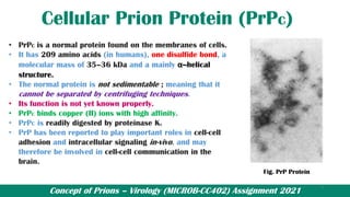 Concept of Prions – Virology (MICROB-CC402) Assignment 2021
Cellular Prion Protein (PrPc)
• PrPC is a normal protein found on the membranes of cells.
• It has 209 amino acids (in humans), one disulfide bond, a
molecular mass of 35–36 kDa and a mainly α--helical
structure.
• The normal protein is not sedimentable ; meaning that it
cannot be separated by centrifuging techniques.
• Its function is not yet known properly.
• PrPC binds copper (II) ions with high affinity.
• PrPC is readily digested by proteinase K.
• PrP has been reported to play important roles in cell-cell
adhesion and intracellular signaling in-vivo, and may
therefore be involved in cell-cell communication in the
brain.
Fig. PrP Protein
7
 