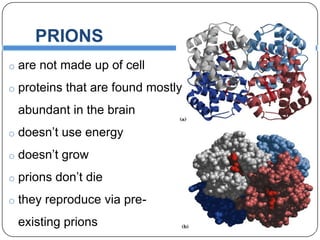PRIONS
o are not made up of cell

o proteins that are found mostly

abundant in the brain
o doesn’t use energy
o doesn’t grow
o prions don’t die

o they reproduce via pre-

existing prions

 