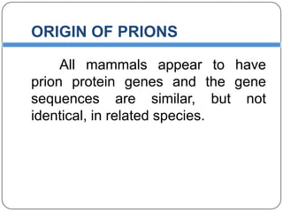 ORIGIN OF PRIONS
All mammals appear to have
prion protein genes and the gene
sequences are similar, but not
identical, in related species.

 