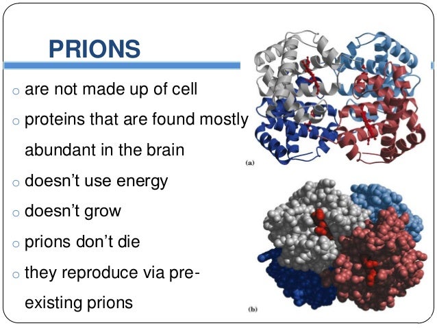 Prions (Infectious Protein)