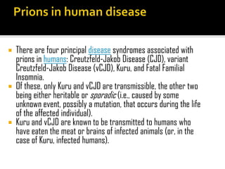  There are four principal disease syndromes associated with
prions in humans: Creutzfeld-Jakob Disease (CJD), variant
Creutzfeld-Jakob Disease (vCJD), Kuru, and Fatal Familial
Insomnia.
 Of these, only Kuru and vCJD are transmissible, the other two
being either heritable or sporadic (i.e., caused by some
unknown event, possibly a mutation, that occurs during the life
of the affected individual).
 Kuru and vCJD are known to be transmitted to humans who
have eaten the meat or brains of infected animals (or, in the
case of Kuru, infected humans).
 