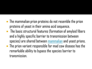 The mammalian prion proteins do not resemble the prion
proteins of yeast in their amino acid sequence.
 The basic structural features (formation of amyloid fibers
and a highly specific barrier to transmission between
species) are shared between mammalian and yeast prions.
 The prion variant responsible for mad cow disease has the
remarkable ability to bypass the species barrier to
transmission.
 