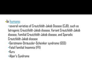 •In humans:
•several varieties of Creutzfeldt-Jakob Disease (CJD), such as
Iatrogenic Creutzfeldt-Jakob disease, Variant Creutzfeldt-Jakob
disease, Familial Creutzfeldt-Jakob disease, and Sporadic
Creutzfeldt-Jakob disease
•Gerstmann-Sträussler-Scheinker syndrome (GSS)
•Fatal Familial Insomnia (FFI)
•Kuru
•Alper’s Syndrome
 