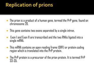  The prion is a product of a human gene, termed the PrP gene, found on
chromosome 20.
 This gene contains two exons separated by a single intron.
 Exon I and Exon II are transcribed and the two RNAs ligated into a
single mRNA.
 This mRNA contains an open reading frame (ORF) or protein coding
region which is translated into the PrP protein.
 The PrP protein is a precursor of the prion protein. It is termed PrP
33-35.
 