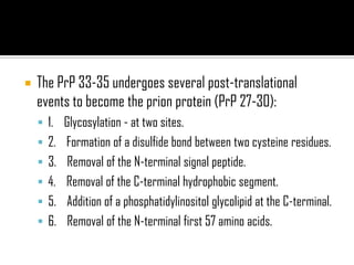  The PrP 33-35 undergoes several post-translational
events to become the prion protein (PrP 27-30):
 1. Glycosylation - at two sites.
 2. Formation of a disulfide bond between two cysteine residues.
 3. Removal of the N-terminal signal peptide.
 4. Removal of the C-terminal hydrophobic segment.
 5. Addition of a phosphatidylinositol glycolipid at the C-terminal.
 6. Removal of the N-terminal first 57 amino acids.
 