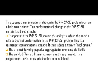 This causes a conformational change in the PrP 27-30 protein from an
a-helix to a b-sheet. This conformational change in the PrP 27-30
protein has three effects:
 It imparts to the PrP 27-30 protein the ability to induce the same a-
helix to b-sheet conformation in the PrP 33-35 protein. This is a
permanent conformational change. It thus induces its own "replication.“
 The b-sheet-forming peptides aggregate to form amyloid fibrils.
 The amyloid fibrils kill thalamus neurons through apoptosis, a
programmed series of events that leads to cell death.
 
