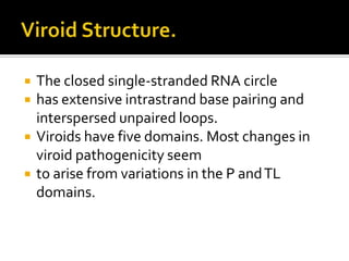  The closed single-stranded RNA circle
 has extensive intrastrand base pairing and
interspersed unpaired loops.
 Viroids have five domains. Most changes in
viroid pathogenicity seem
 to arise from variations in the P andTL
domains.
 