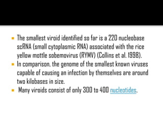  The smallest viroid identified so far is a 220 nucleobase
scRNA (small cytoplasmic RNA) associated with the rice
yellow mottle sobemovirus (RYMV) (Collins et al. 1998).
 In comparison, the genome of the smallest known viruses
capable of causing an infection by themselves are around
two kilobases in size.
 Many viroids consist of only 300 to 400 nucleotides.
 