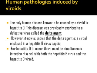  The only human disease known to be caused by a viroid is
hepatitis D. This disease was previously ascribed to a
defective virus called the delta agent.
 However, it now is known that the delta agent is a viroid
enclosed in a hepatitis B virus capsid.
 For hepatitis D to occur there must be simultaneous
infection of a cell with both the hepatitis B virus and the
hepatitis D viroid.
 