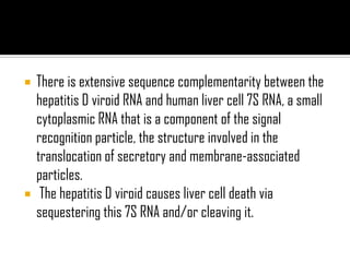  There is extensive sequence complementarity between the
hepatitis D viroid RNA and human liver cell 7S RNA, a small
cytoplasmic RNA that is a component of the signal
recognition particle, the structure involved in the
translocation of secretory and membrane-associated
particles.
 The hepatitis D viroid causes liver cell death via
sequestering this 7S RNA and/or cleaving it.
 