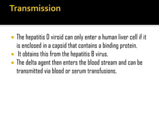  The hepatitis D viroid can only enter a human liver cell if it
is enclosed in a capsid that contains a binding protein.
 It obtains this from the hepatitis B virus.
 The delta agent then enters the blood stream and can be
transmitted via blood or serum transfusions.
 