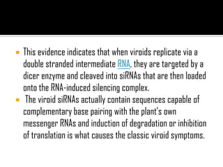  This evidence indicates that when viroids replicate via a
double stranded intermediate RNA, they are targeted by a
dicer enzyme and cleaved into siRNAs that are then loaded
onto the RNA-induced silencing complex.
 The viroid siRNAs actually contain sequences capable of
complementary base pairing with the plant's own
messenger RNAs and induction of degradation or inhibition
of translation is what causes the classic viroid symptoms.
 