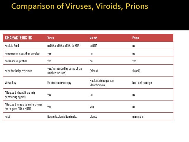 viroids and prions Tutorsglobecom virion, viroids and prions assignment help-homework help by online structure of a virus tutors. viroids and prions Tutorsglobecom virion, viroids and prions assignment help-homework help by online structure of a virus tutors.