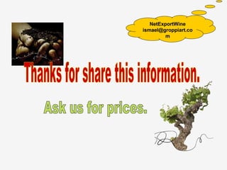 NetExportWine
ismael@groppiart.co
         m
 
