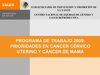 PROGRAMA DE TRABAJO 2009: PRIORIDADES EN CANCER CÉRVICO UTERINO Y CÁNCER DE MAMA SUBSECRETARÍA DE PREVENCIÓN Y PROMOCIÓN DE LA SALUD CENTRO NACIONAL DE EQUIDAD DE GÉNERO Y SALUD REPRODUCTIVA 