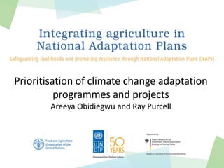 Prioritisation of climate change adaptation
programmes and projects
Areeya Obidiegwu and Ray Purcell
 