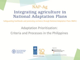 Adaptation Prioritization:
Criteria and Processes in the Philippines
 
