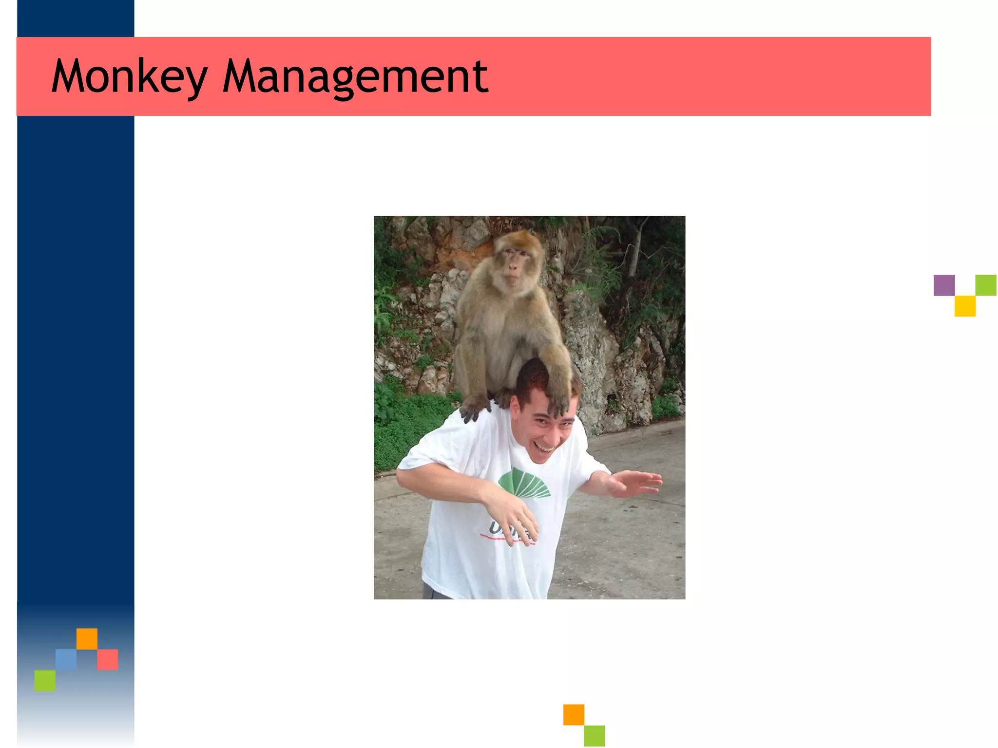 Monkey Management 