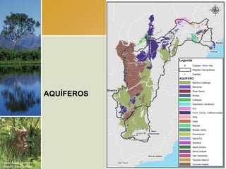 AQUÍFEROS




Fotos: Scott Warren e
Leandro Baumgarten.
 