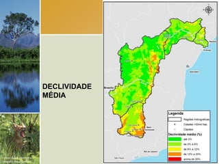 DECLIVIDADE
                        MÉDIA




Fotos: Scott Warren e
Leandro Baumgarten.
 