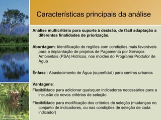 Características principais da análise

                        Análise multicritério para suporte à decisão, de fácil adaptação a
                          diferentes finalidades de priorização.

                        Abordagem: Identificação de regiões com condições mais favoráveis
                          para a implantação de projetos de Pagamento por Serviços
                          Ambientais (PSA) Hídricos, nos moldes do Programa Produtor de
                          Água

                        Ênfase : Abastecimento de Água (superficial) para centros urbanos

                        Vantagens:
                        Flexibilidade para adicionar quaisquer indicadores necessários para a
                           inclusão de novos critérios de seleção
                        Flexibilidade para modificação dos critérios de seleção (mudanças no
                           conjunto de indicadores, ou nas condições de seleção de cada
                           indicador)
Fotos: Scott Warren e
Leandro Baumgarten.
 