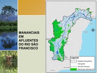 MANANCIAIS
                        EM
                        AFLUENTES
                        DO RIO SÃO
                        FRANCISCO




Fotos: Scott Warren e
Leandro Baumgarten.
 